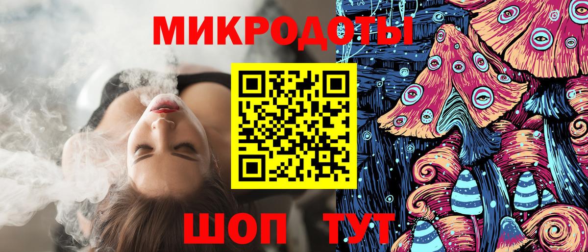 Галлюциногенные грибы Psilocybe Гулькевичи